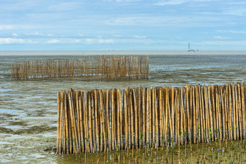 Bamboo barrier and rock dam.