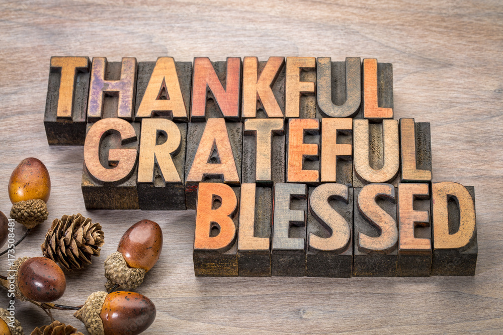 thankful, grateful, blessed - Thanksgiving theme - obrazy, fototapety, plakaty 