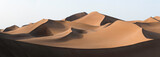 Fototapeta Nowy Jork - Golden dunes