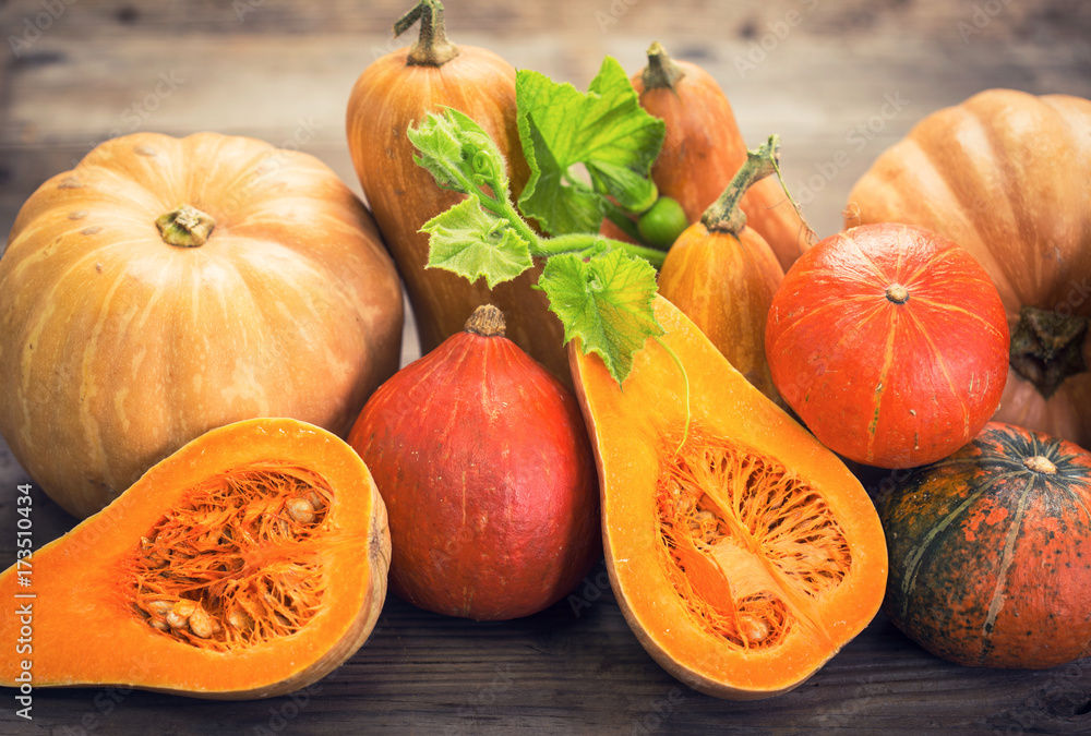 Fresh and colorful pumpkins and squashes  - obrazy, fototapety, plakaty 