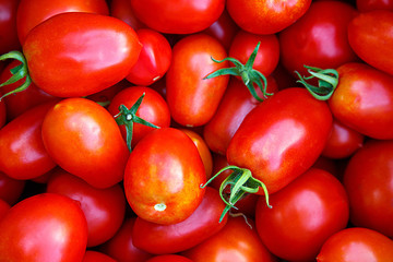 photo of very fresh tomatoes presented