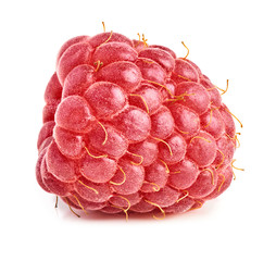 Poster - Ripe raspberry isolated on white background. Macro photography with great depth of field. DoF .