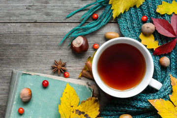 Autumn background with dry leaves, scarf, cup of tea with spices and vintage book