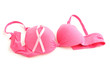 © 5second - Pink ribbon with female bra on white background