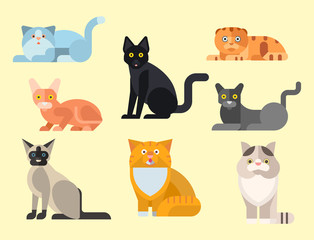  Cats vector illustration cute animal funny decorative kitty characters feline domestic kitten trendy pet drawn