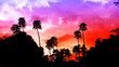 epic sky. Beautiful  sunset. forest sun set with copyspace. epic nature background. ecology concept. purple and red sky.