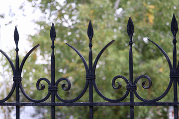 Wall Mural - Wrought-iron fences and hedges