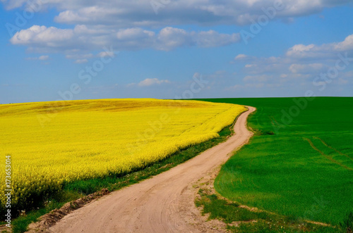 Sandy Rural Road Among The Fields Summer Landscape With - 