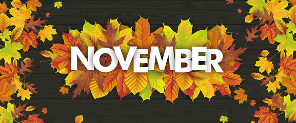 Wall Mural - autumn foliage fall header november wood