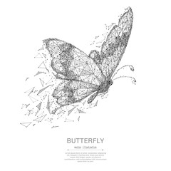 Aufkleber - Butterfly low poly wireframe isolated black on white background. Abstract mash line and point origami. Vector polygon illustration. Insect with geometry triangle. Light connection digital structure.