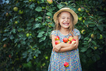 Happy Little Girl Holding Apples In The Garden