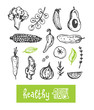 © jane55 - Hand drawn doodle vegetables