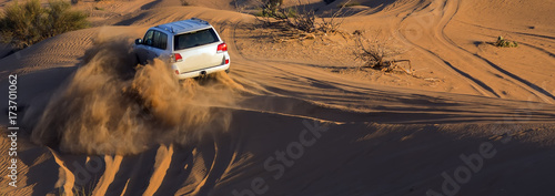 Dekoracja na wymiar  samochod-terenowy-desert-safari