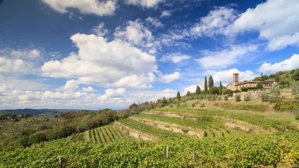 Wall Mural - Chianti, November 2016: Time lapse 4k of Chianti vineyard landscape in autumn, on November 2016 in Chianti, Tuscany, Italy