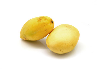 Isolated two yellow fruit mangos