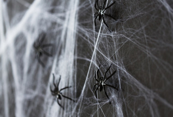 halloween decoration of black toy spider on cobweb