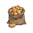© sabelskaya - Burlap sack full of ripe potato, hand drawn, sketch style vector illustration isolated on white background. Hand drawn full burlap potato sack, isolated vector illustration