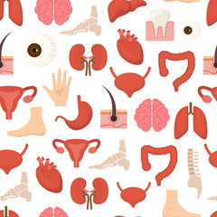 Canvas Print - Cartoon Human Internal Organs Background Pattern on a White. Vector