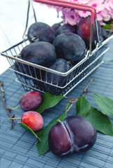 Wall Mural - Ripe and juicy blue plums in a wicker basket in a rustic style. Happy Thanksgiving. Copy space.