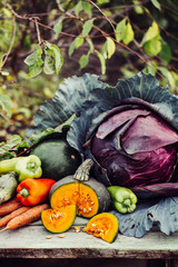 Wall Mural - Fresh organic raw vegetables in an autumn garden.