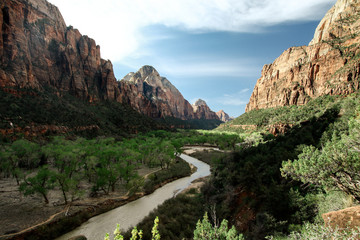 Wall Mural - view of river flowing through mountains in zion national park