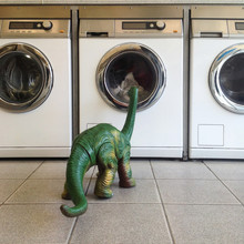Curious Dinosaur Looking At Washing Machine.