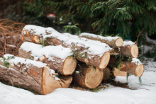 Stacked Firewood Covered With Snow