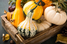 Autumn Thanksgiving Composition With Assorted Mini Pumpkins In Wooden Tray On Green Table.