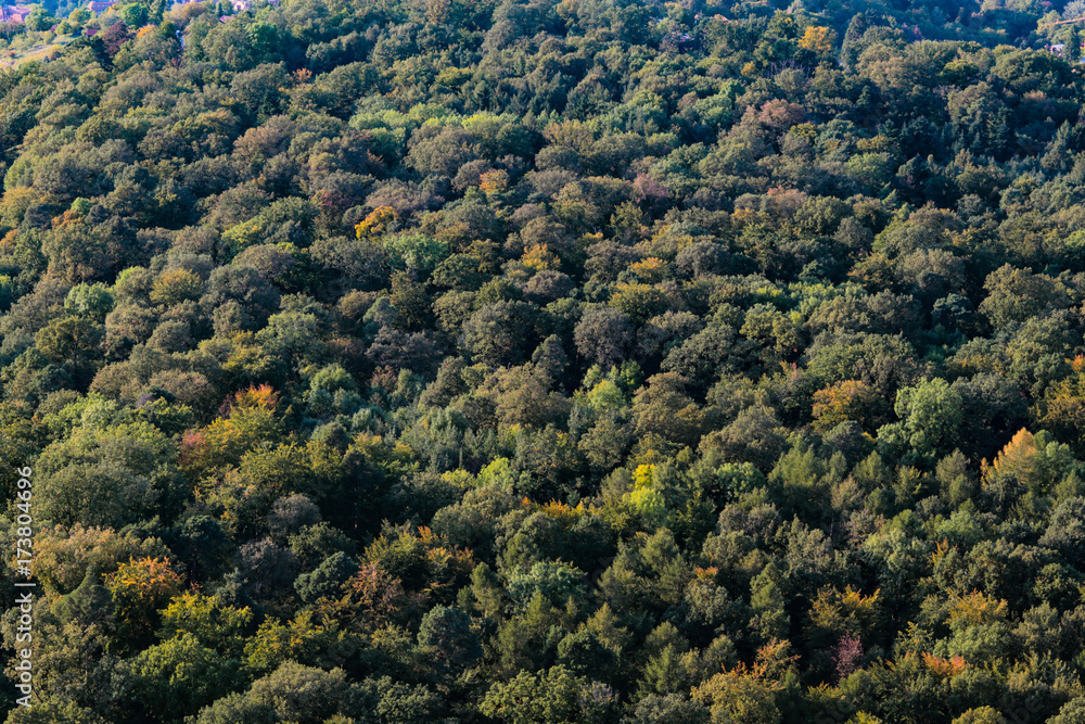 Wald von oben Stock Photo | Adobe Stock