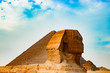 The sphinx in Cairo, Egypt