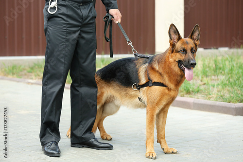 Fototapeta Security guard with dog, outdoors