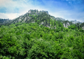 Poster - Beautiful landscape on sunny day