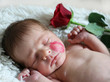 Portrait of cute sleeping newborn baby with kiss mark on the face and red rose on background.