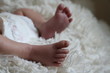 Tiny baby's feet. Little feet of newborn baby on white blanket