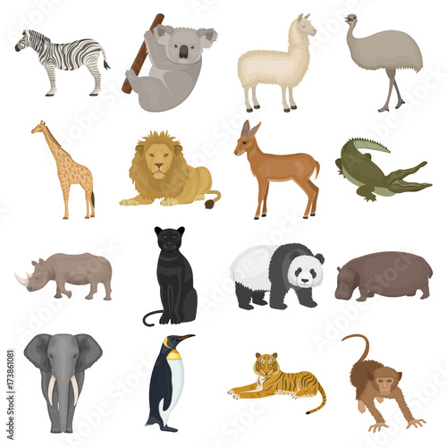 Ostrich Emu Crocodile Giraffe Tiger Penguin And Other Wild Animals Artiodactyla Mammalian Predators And Animals Set Collection Icons In Cartoon Style Vector Symbol Stock Illustration Web Buy This Stock Vector And