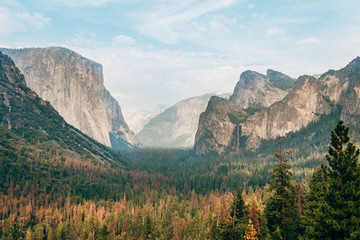 Wall Mural - amazing view of yosemite valley with el capitan mountain at background