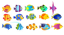 Vector Illustration Set Of Bright Colors Tropical Fishes Isolated On White Background In Flat Cartoon Style.