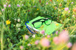 © Catalin Pop - Books and eyeglasses on green grass outside