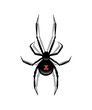 Black spider isolated on white background. Vector object.