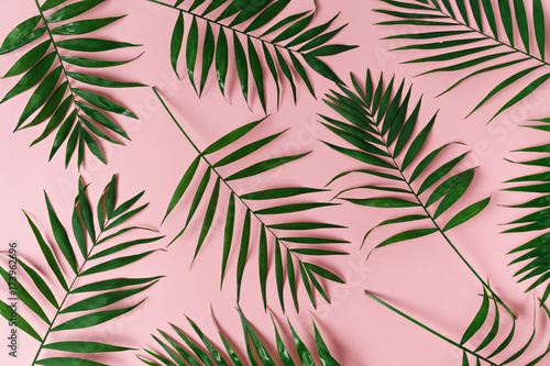 green leaves of palm tree Poster Mural XXL