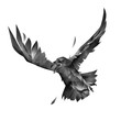 sketch of a flying bird isolated crows front