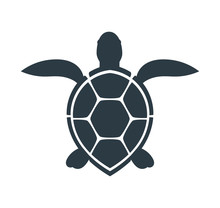 Sea Turtle Icon.