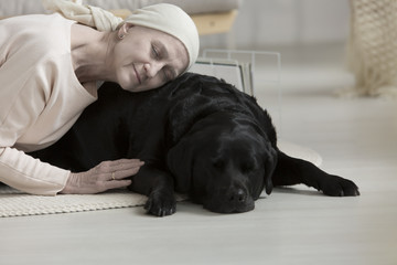 Wall Mural - Pet therapy helping woman