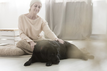 Wall Mural - Dog helping woman with cancer