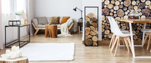 Multifunctional Room With Log Motif