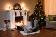 © MestoSveta - Young couple in love sitting by the fireplace decorated or Christmas and looking at fire. A cozy evening of a young couple sitting hugging in front of a candled fireplace, new year is coming.