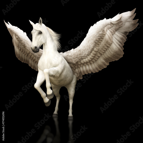 Cuadros en Lienzo Pegasus majestic mythical Greek winged horse on a black background