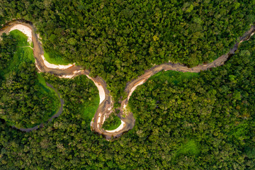 Wall Mural - Aerial View of Amazon Rainforest, South America