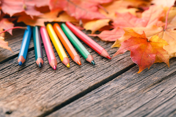 Canvas Print - Autumn creative art painting backgrounf with pencils and maple leaves