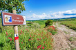 © Feel good studio - Via Francigena pilgrim path, Tuscany, Italy: road sign at beautiful Tuscany landscape background, spring scenery. Via Francigena is famous pilgrim path and popular travel hiking trail.